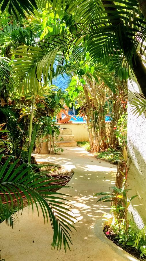 פלאייה דל כרמן Maya Vacanze Playa Alegria מראה חיצוני תמונה